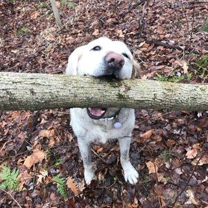 Meet your Posher, Jonathan